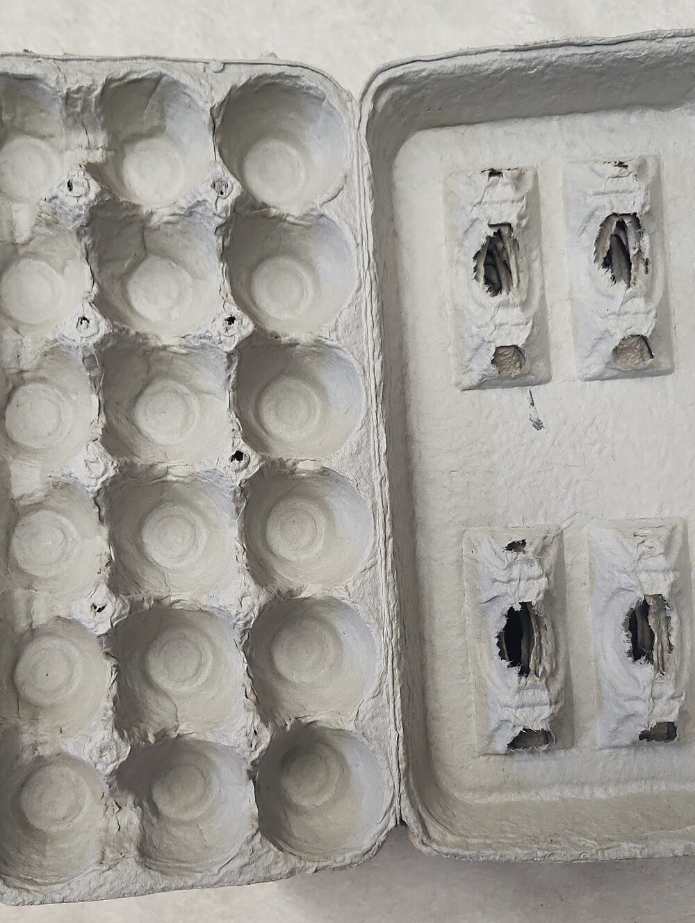• Used Egg Cartons Lot of 20 Large 18-Count Recycled Paper Egg Storage Crafts